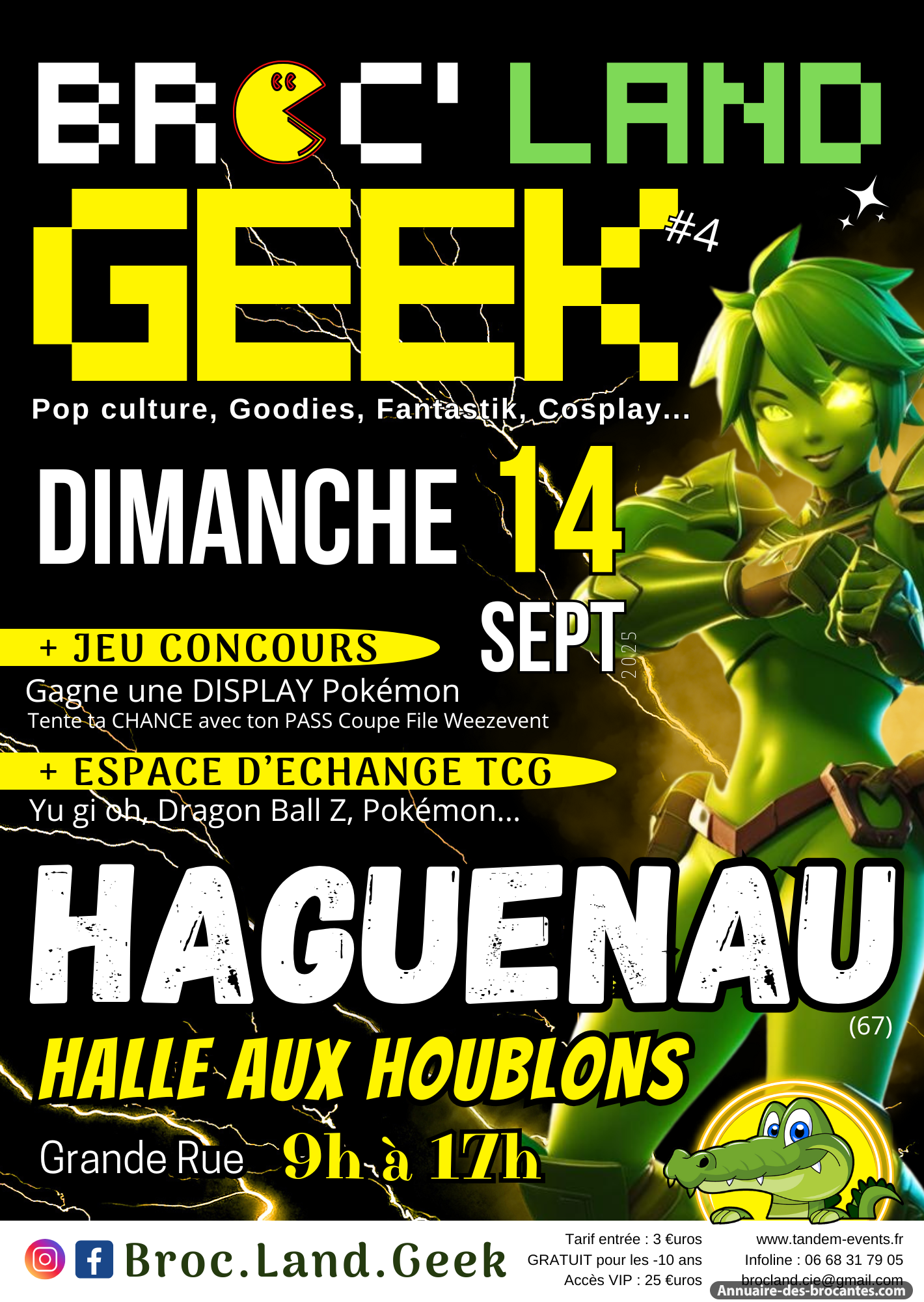 Affiche de Brocante à Haguenau